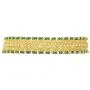 Aheli Indian Wedding Wear Polki Stone Beaded Choker Necklace with Maang Tikka Set Ethnic Fashion Jewelry for Women