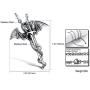Godyce Dragon Sword Pendant Necklace Stainless Steel Men Vintage Jewelry