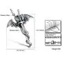 Godyce Dragon Sword Pendant Necklace Stainless Steel Men Vintage Jewelry Godyce Dragon Sword Pendant Necklace Stainless Steel Men Vintage Jewelry