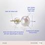 PAVOI 14K Gold AAA+ Handpicked White Freshwater Cultured Pearl Earrings Studs