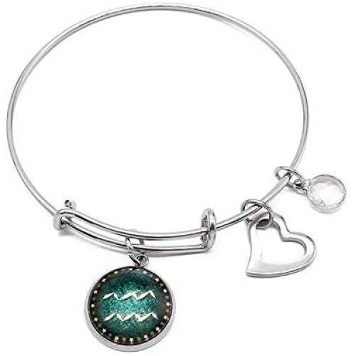Furious Jewelry Stainless Steel 12 Constellation Expandable Wire Bangle Bracelet