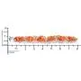 Shop LC Shell Beads Earrings Magnetic Clasp Bracelet Prom Jewellery Sets for Women Mothers Day Gifts 8'' (White,Red,Blue,Orange,Purple,Coral,Pink)