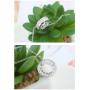 Crystalline Azuria Circle Pendant Necklace with White Zirconia Crystals 18K Silver Rose Gold Plated Necklaces for Women with 18'' Chain