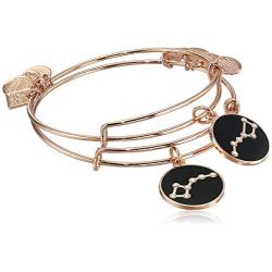 Alex and Ani Charity by Design, Big and Little Dipper Set of 2 Charm Bangle