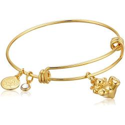 Alex and Ani Halos & Glories, Teddy Bear Charm Shiny Gold Bangle Bracelet