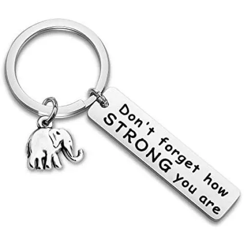 WUSUANED Friendship Keychain Never Forget How Strong You Are Elephant Jewelry Inspirational Gift For Elephant Lovers WUSUANED Friendship Keychain Never Forget How Strong You Are Elephant Jewelry Inspirational Gift For Elephant Lovers