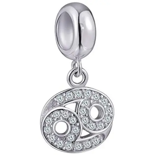 12 Zodiac Sign Charms for Charm Bracelets - 925 Sterling Silver Constellation/Horoscope Necklace Pendants, Dangling Birthstone Beads, Birthday Christmas Gifts for Women/Men and Girls/Boys 12 Zodiac Sign Charms for Charm Bracelets - 925 Sterling Silver Constellation/Horoscope Necklace Pendants, Dangling Birthstone Beads, Birthday Christmas Gifts for Women/Men and Girls/Boys