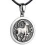 Zodiac Sign Pendant Necklace 925 Sterling Silver Horoscope Medallion Coin Disc Choker Charm Constellation Astrology Jewelry for Men Women