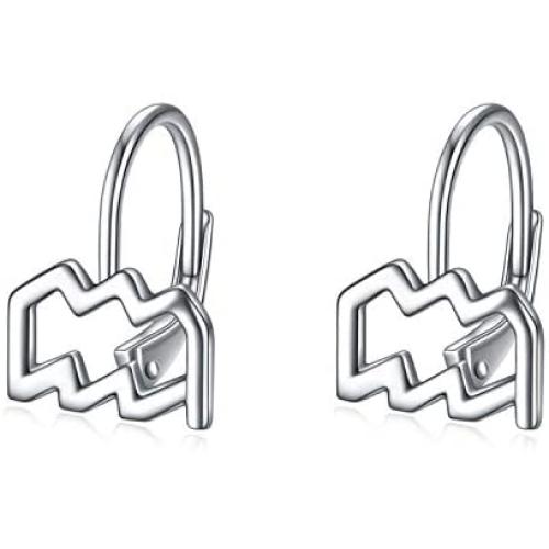 WINNICACA 925 Sterling Silver Horoscope Zodiac 12 Constellation Astrology Leverback Dangle Earrings for Women Girls