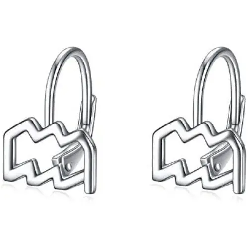 WINNICACA 925 Sterling Silver Horoscope Zodiac 12 Constellation Astrology Leverback Dangle Earrings for Women Girls
