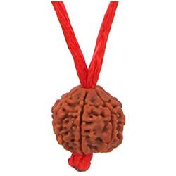 55Carat Choose Your Natural Certified Nepali Rudraksha 1 to 13 Mukhi Ganesh Gauri Shankar Simple Pendant with Red Thread Shiva Astrology Jewelry for Men Women