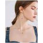 MIXIA Pink Enamel Oil Flamingo Bird Dangle Earrings for Women Hypoallergenic Jewelry Cute Animal Flamingo Crystal Earrings