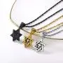 PROSTEEL Jewish Magen Star of David Necklace Stainless Steel Pendant & Chain Israel Jewelry for Men Women Gift PROSTEEL Jewish Magen Star of David Necklace Stainless Steel Pendant & Chain Israel Jewelry for Men Women Gift