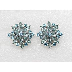 Faship Gorgeous Crystal Rhinestone Floral Clip On Earrings