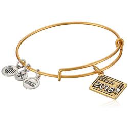 Alex and ANI Womens Class of 2018 EWB Bangle Bracelet, Expandable