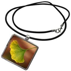 3dRose Macro Photograph of a Single Ginkgo biloba Leaf. - Necklace with Pendant (ncl_341074)