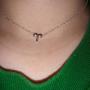 Zealmer Women White Gold Plated Pendant 12 Zodiac Necklace