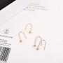 Korean Song Hye Kyo earrings earrings wild female models 18K rose gold-plated steel ear ear hook ear jewelry