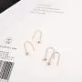 Korean Song Hye Kyo earrings earrings wild female models 18K rose gold-plated steel ear ear hook ear jewelry