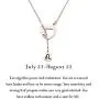 ENSIANTH Rose Gold Zodiac Signs Heart Necklace Stainless Steel Lariat Y Necklace Best Birthday Gift