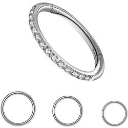 DEETO 16G 4Pcs 316L Stainless Steel Zircon Septum Nose Ring hoops Cartilage Earrings, Tragus Helix Earrings, Nose Rings, Piercing Jewelry