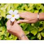 jolliz Friendship Bracelets for Women, Inspirational Gift for Mom, Silver Bangle Mantra Cuff for Women, Encouragement Jewelry for Her