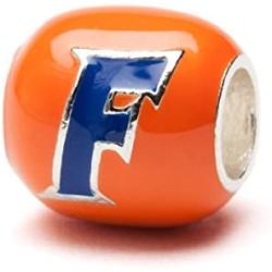 University of Florida Bead | Stainless Steel Jewelry | UF Charms | University Gifts | Fits Pandora & Others