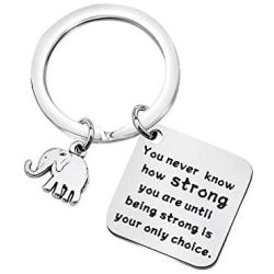 FUSTMW Elephant Gifts Keychain Elephant Lovers Gifts Elephant Jewelry How Strong You are Elephant Inspirational Gifts
