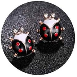 Cartoon Enamel Red Ladybug Beetle Stud Drop Earrings Statement Long Tassel Earrings Insect Jewelry for Women