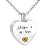 CLY Jewelry Urn Necklace for Ashes Stainless Steel Love Heart Necklace with Crystal Birthstone Always in My Heart The Best of Cremation Jewelry Bottom of My Heart Memorial Keepsake
