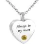 CLY Jewelry Urn Necklace for Ashes Stainless Steel Love Heart Necklace with Crystal Birthstone Always in My Heart The Best of Cremation Jewelry Bottom of My Heart Memorial Keepsake