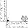 Gem Stone King Sterling Silver Black Onyx and White Created Sapphire Pendant necklace 2.25 cttw Oval with 18 inches Silver Chain Gem Stone King Sterling Silver Black Onyx and White Created Sapphire Pendant necklace 2.25 cttw Oval with 18 inches Silver Chain