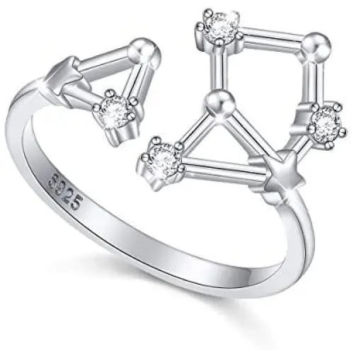 FLYOW 925 Sterling Silver CZ Horoscope Zodiac 12 Constellation Astrology Adjustable Statement Ring for Women Teen Girls Birthday Gift,Size 7