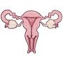 AILUOR Uterus Ovary Pendant Necklace, Feminist Medical Symbol Female Organ Gynecologist Nurse Gift Jewelry