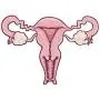AILUOR Uterus Ovary Pendant Necklace, Feminist Medical Symbol Female Organ Gynecologist Nurse Gift Jewelry