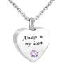 Jesse Ortega 12 Colors Birthstone Urn Necklace of Ashes Always in My Heart Cremation Keepsake Memorial Jewelry