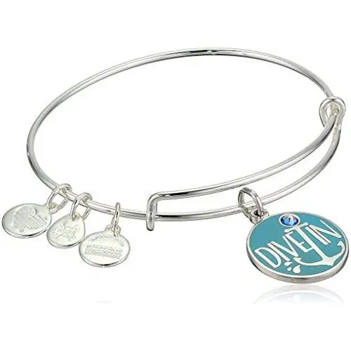 Alex and Ani Womens Color Infusion, Words are Powerful, Dive in Bracelet, Shiny Silver, Expandable Alex and Ani Womens Color Infusion, Words are Powerful, Dive in Bracelet, Shiny Silver, Expandable