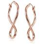 Hoops & Loops Sterling Silver Infinity Polished Hook Endless Earrings