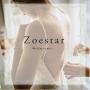 Zoestar Crystal Necklaces Heart Pendant Necklace Love Jewelry for Women (Silver)
