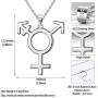 Besilver LGBT Lesbian Pride Necklace for Women Men 925 Sterling Silver Tansgender Gay Pride Earrings/Necklace Gay Pride Jewelry Gift