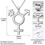 Besilver LGBT Lesbian Pride Necklace for Women Men 925 Sterling Silver Tansgender Gay Pride Earrings/Necklace Gay Pride Jewelry Gift Besilver LGBT Lesbian Pride Necklace for Women Men 925 Sterling Silver Tansgender Gay Pride Earrings/Necklace Gay Pride Jewelry Gift