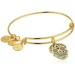 Alex and Ani Color Infusion, Calavera EWB Bangle Bracelet