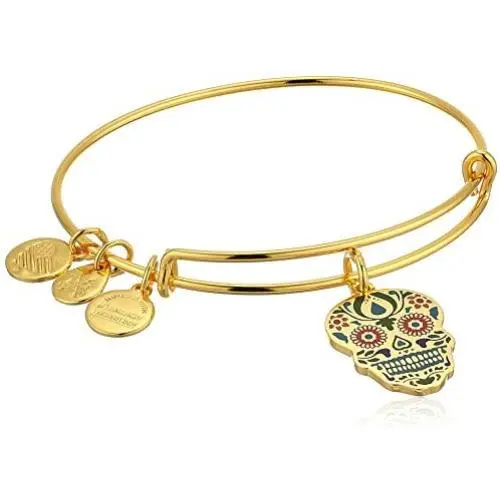 Alex and Ani Color Infusion, Calavera EWB Bangle Bracelet Alex and Ani Color Infusion, Calavera EWB Bangle Bracelet