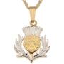Scottish Thistle Pendant & Necklace, Scotland Two Pound Coin Hand Cut