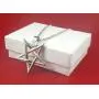 SigilofBaphomet.com Inverted Pentagram Pentacle 316L Stainless Steel