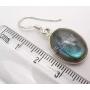 SilverStarJewel Sterling Silver 12 x 16 mm Cab Labradorite tcw 19.6 Earrings 1.3'' New Art