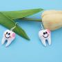 SEIRAA Cute Tooth Dangle Earrings Dentist Jewelry 2020 Graduation Gift for DH