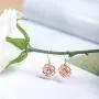 AOBOCO Sterling Silver Rose Flower Earrings, Rose Gold Plated, Clear Crystal from Austria, Hypoallergenic Dangle Drop earrings, Anniversary Birthday Jewelry Rose Flower Gifts for Women