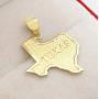 AMZ Jewelry 10K Yellow Gold Texas State Map Pendant