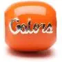 University of Florida Bead | Stainless Steel Jewelry | UF Charms | University Gifts | Fits Pandora & Others